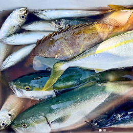 利用されたお客様イメージ