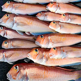 利用されたお客様イメージ